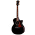 Builder's Edition 814ce Next Generation Blacktop + Etui Taylor