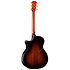 Builder's Edition 814ce Next Generation Blacktop + Etui Taylor