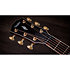 Builder's Edition 814ce Next Generation Honduran Rosewood / Adirondack Spruce + Etui Taylor