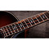 Builder's Edition 814ce Next Generation Honduran Rosewood / Sinker Redwood + Etui Taylor