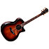 Builder's Edition 814ce Next Generation Honduran Rosewood / Sinker Redwood + Etui Taylor