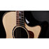 Builder's Edition 814ce Next Generation Indian Rosewood/Adirondack Spruce + Etui Taylor