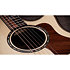 Builder's Edition 814ce Next Generation Indian Rosewood/Adirondack Spruce + Etui Taylor
