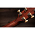 Builder's Edition 814ce Next Generation Indian Rosewood/Adirondack Spruce + Etui Taylor