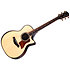 Builder's Edition 814ce Next Generation Indian Rosewood/Adirondack Spruce + Etui Taylor