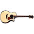 Builder's Edition 814ce Next Generation Indian Rosewood/Adirondack Spruce + Etui Taylor
