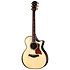Builder's Edition 814ce Next Generation Indian Rosewood/Adirondack Spruce + Etui Taylor