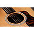 Gold Label 510e Natural + Etui Taylor