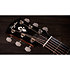 Gold Label 510e Natural + Etui Taylor