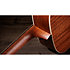 Gold Label 510e Natural + Etui Taylor