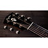 Gold Label 710e Natural + Etui Taylor