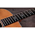 Gold Label 810e Honduran Rosewood Natural + Etui Taylor