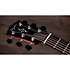 Gold Label 810e Honduran Rosewood Natural + Etui Taylor
