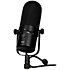 R1A PREMIER Golden Age Audio
