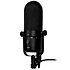 R1A PREMIER Golden Age Audio