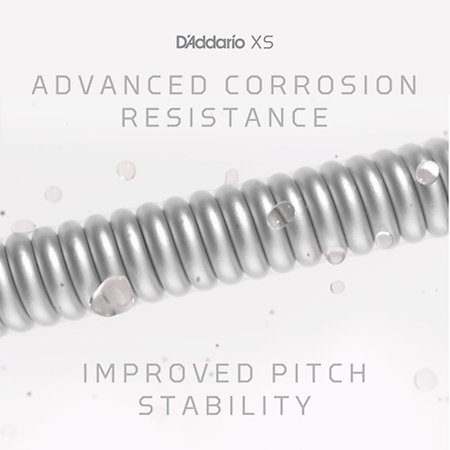 XSE09544 D'Addario