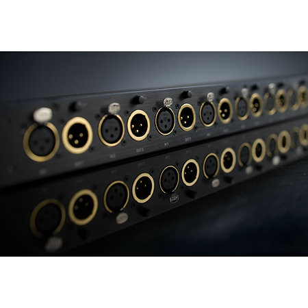 PBR XSplit8 Black Lion Audio