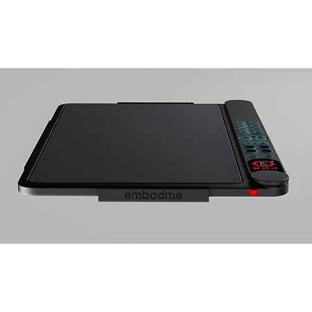 Mounting Plate for Erae 2 Embodme