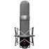 R1 ST Golden Age Audio