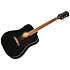 Hummingbird Tribute Ebony Epiphone
