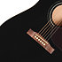 Hummingbird Tribute Ebony Epiphone
