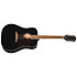 Hummingbird Tribute Ebony Epiphone