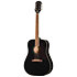 Hummingbird Tribute Ebony Epiphone