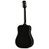 Hummingbird Tribute Ebony Epiphone