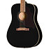 Hummingbird Tribute Ebony Epiphone