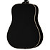Hummingbird Tribute Ebony Epiphone