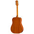 Hummingbird Tribute Heritage Cherry Sunburst Epiphone