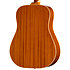 Hummingbird Tribute Heritage Cherry Sunburst Epiphone