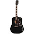 Hummingbird Special Satin Ebony + Housse Gibson