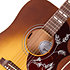 Hummingbird Special Satin Honey Burst + Housse Gibson