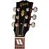 Hummingbird Special Satin Honey Burst + Housse Gibson