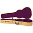 J-45 Century 12-Fret Ebony + Etui Gibson