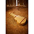 J-45 Century 12-Fret Ebony + Etui Gibson