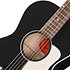 L-00 Century 12-Fret Ebony + Etui Gibson