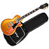 Futura Les Paul Custom Firestorm Shift + Housse Epiphone