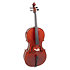 Ensemble Violoncelle EW 4/4 Gewa