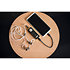 Zeo Antelope Audio