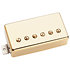 Lari Basilio Trembucker Bridge Gold Seymour Duncan