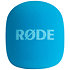 Interview GO Blue Rode