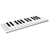 Xkey25 ESI Audiotechnik