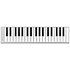 Xkey37 ESI Audiotechnik