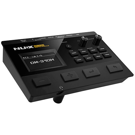DM-310H NUX