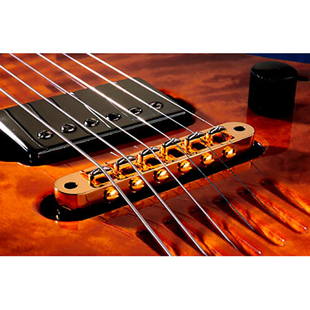 LR Baggs T Bridge Tune-O-Matic Gold