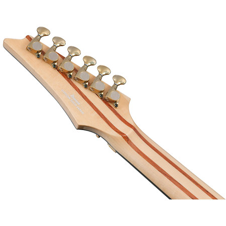 IV2RG Visions RG Ibanez