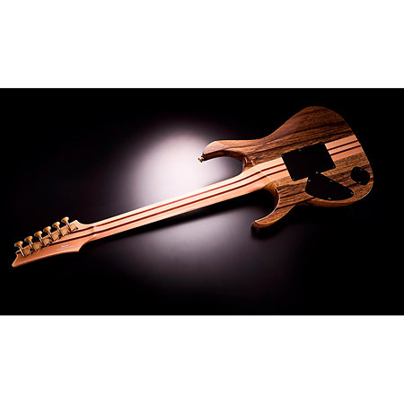 IV2RG Visions RG Ibanez