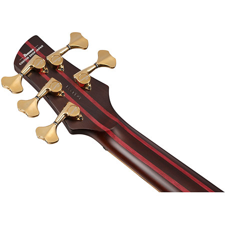 IV1SR Ibanez